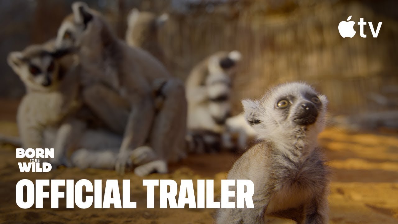 Born To Be Wild — Official Trailer | Apple TV - YouTube