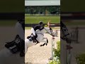 #short #horse #jumping #edit #pferd #cupcut #subscribe
