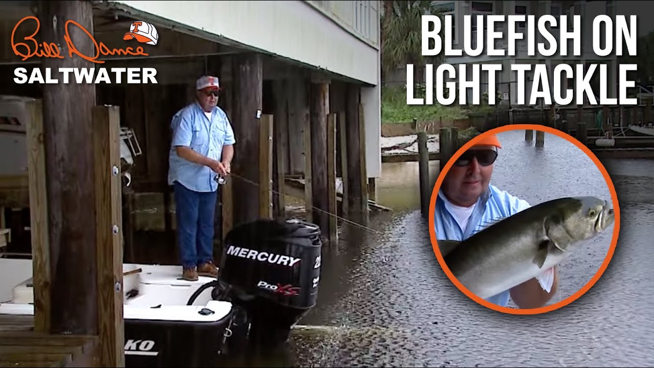 Bluefish on Light Tackle | Bill Dance Saltwater