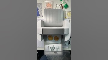 Stampin Up//Something Fancy//Two-Tone Flora//Fancy Flora DSP//#Shorts//Sneak Peek//Jan-Apr 2023 Mini