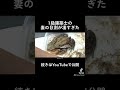 1級建築士の妻の目測が凄すぎた #shorts