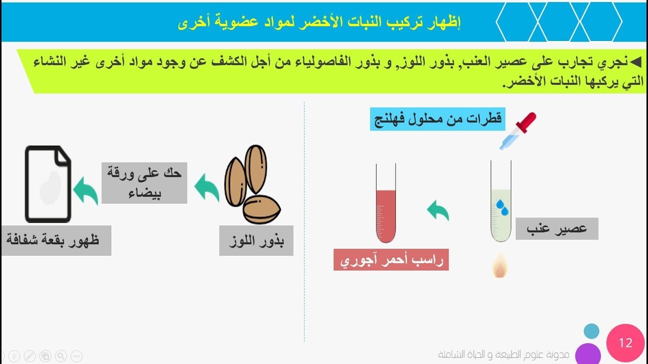 الدرس 12:علوم طبيعية اولى متوسط اظهار تركيب مواد عضوية اخرى عند النبات الاخضر