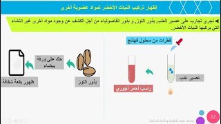 الدرس 12:علوم طبيعية اولى متوسط اظهار تركيب مواد عضوية اخرى عند النبات الاخضر