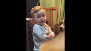 Dog Disapproved a Boy Bothering It Causing the Boy to Complain to His Mom