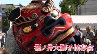 頭デカすぎだし！こっちがオスらしい。篠ノ井大獅子保存会 ながの獅子舞フェスティバル2024 Menari Tarian Singa   Lion Dance  #shishimai#ししまい