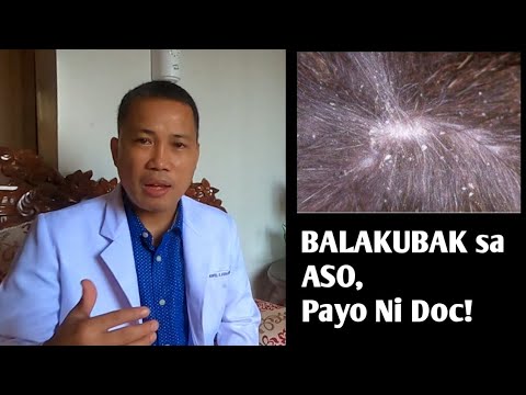 Video: Tungkol sa amin