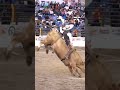 Mexican Rodeo