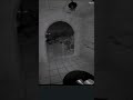 Disturbing footage released in kidnapping probe