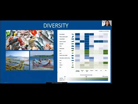 The Big Fish Series - Blue Food: A Food Systems Solution?
