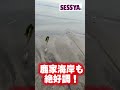 【キス釣り】鹿家海岸も絶好調！