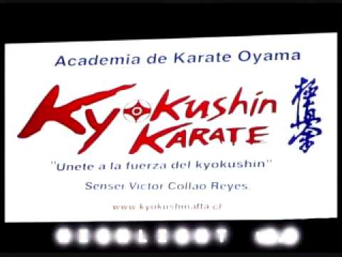 Collao Dojo Highlight v2.0 by Kyokushinkevin