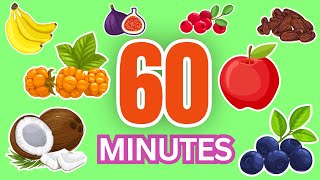 60 MINUTES Fruits for Everyone in English