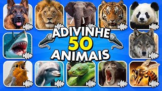 Adivinhe 50 Animais pelo Som 🔊🦁🐼 | Quiz de Sons de Animais screenshot 4