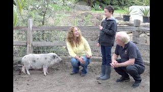 The Pet Psychic ®, Animal Zone, Pigs, and their Kid.