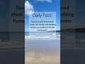 Daily Fact 2