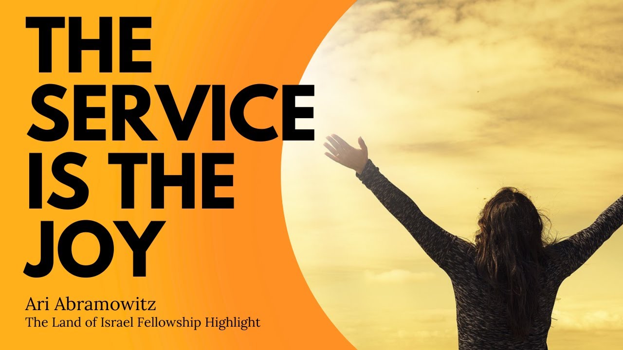 The Service is the Joy - Ari Abramowitz