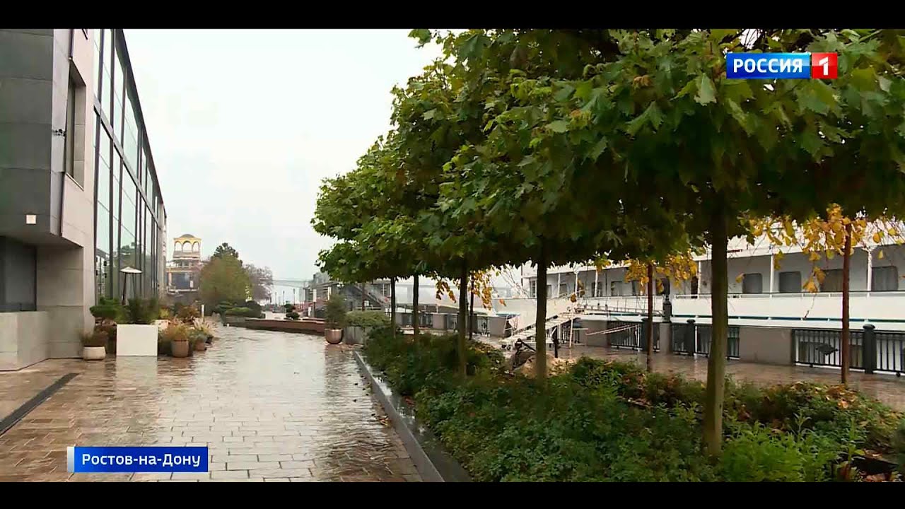 Самый теплый день на Дону в ноябре: столбики термометров поднимутся до ...