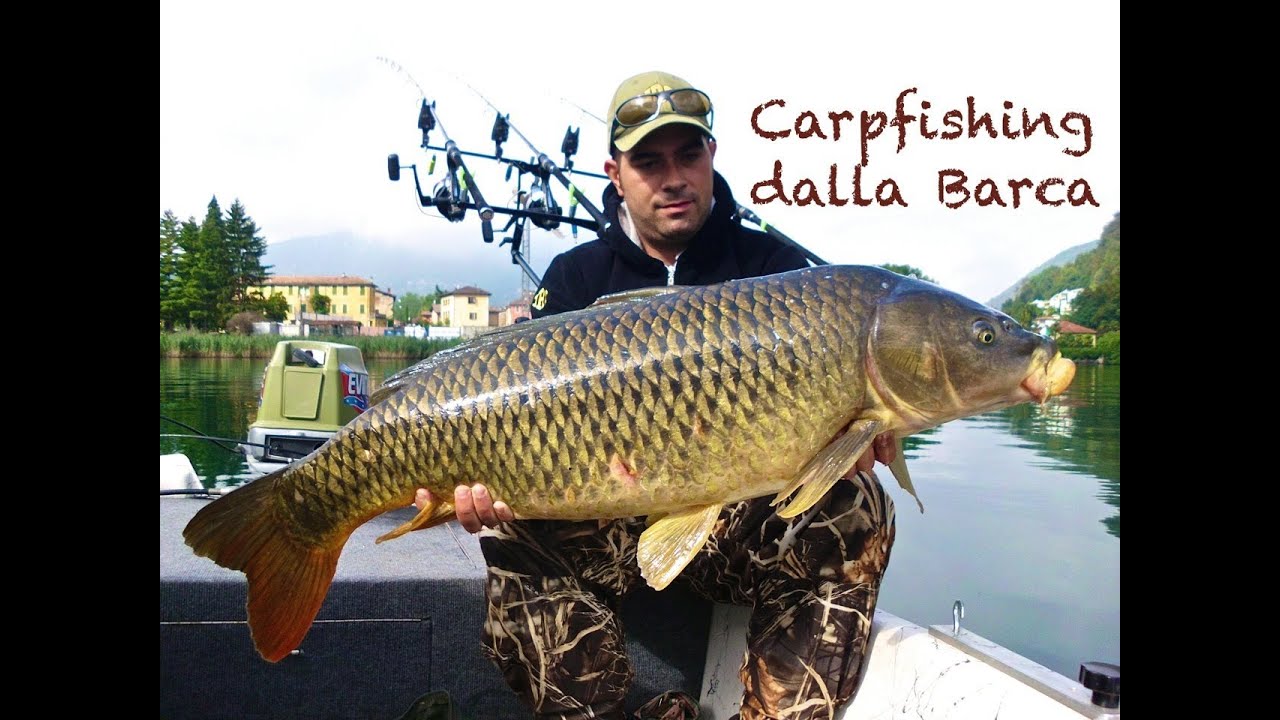 Carpfishing dalla Barca