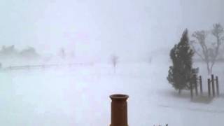 Amarillo Blizzard - Take a Step Outside