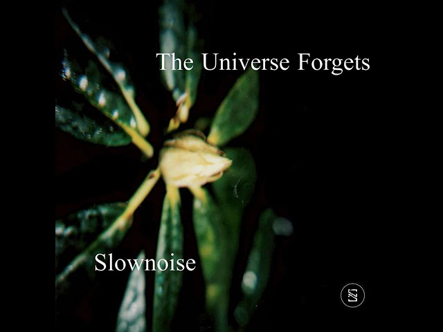 Guarda Slownoise - The Universe Forgets su YouTube Guarda Slownoise - The Universe Forgets su YouTube