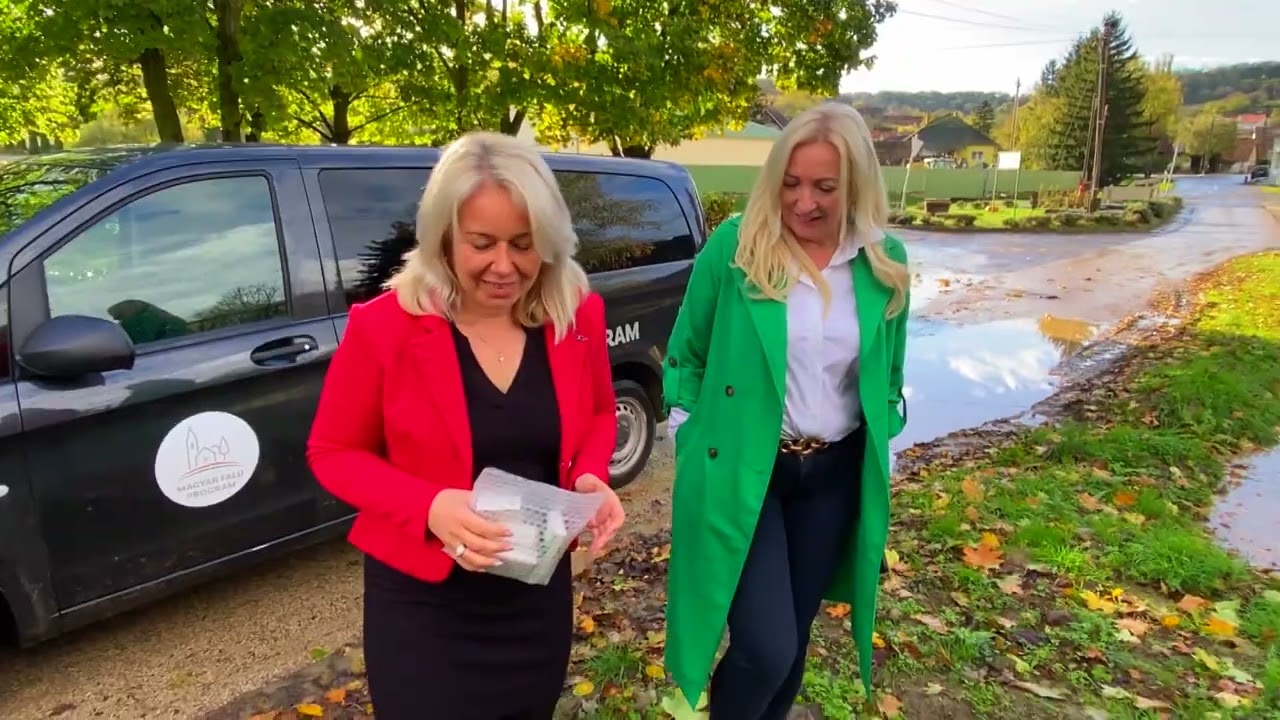 Kisfalusi Szelfi sorozat: Kisvejke