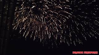 Elsie & Michel Wedding Pyromusical Profile