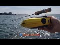 🤔🐟Go fishing with underwater drones? Test on Chasing Dory, watch live🤸‍♂️🤣