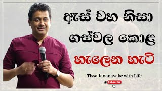 ඇස් වහ නිසා ගස්වල කොළ හැලෙන හැටි  | Tissa Jananayake with Life ( EP 62)