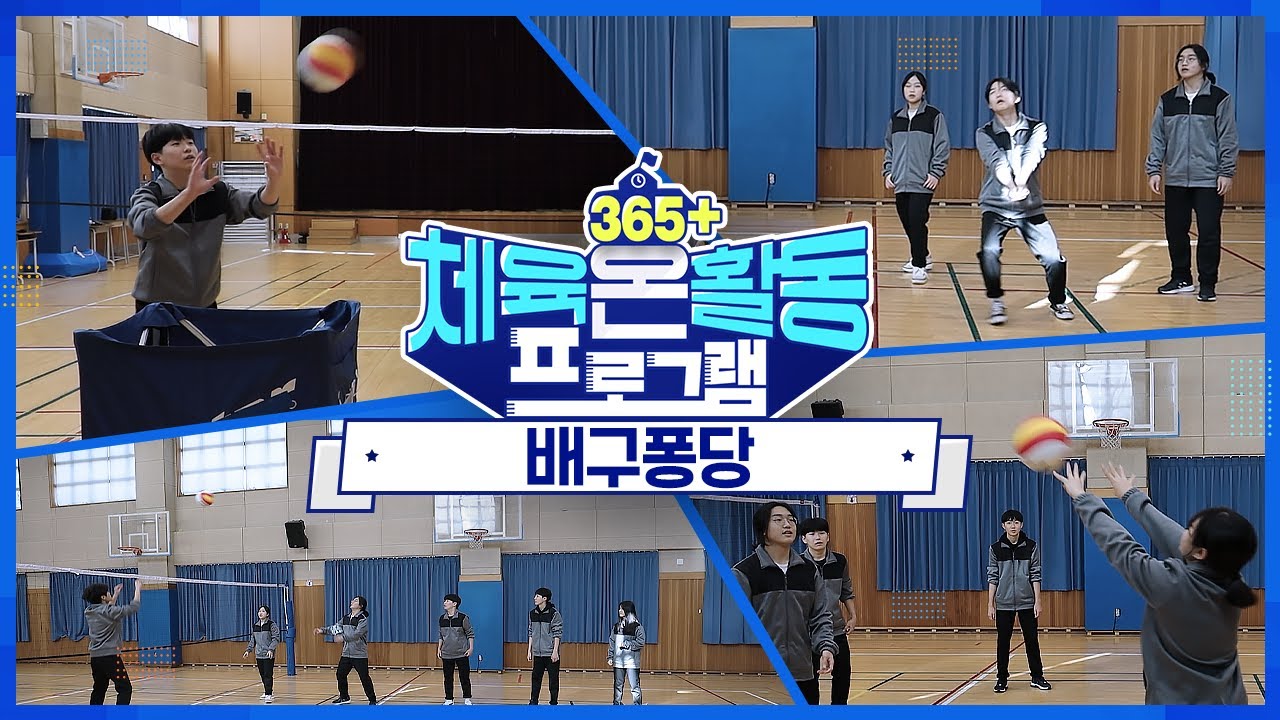[365+체육온활동] 중급 27. 배구퐁당