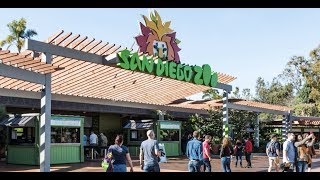 San Diego Zoo Virtual Tour 4K