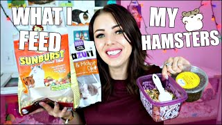 HAMSTER FOOD | WHAT I FEED MY PET HAMSTER | MY HAMSTERS DIET