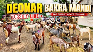 DEONAR BAKRA MANDI LATEST UPDATE 2026 || TUESDAY LIVE UPDATE🚨 