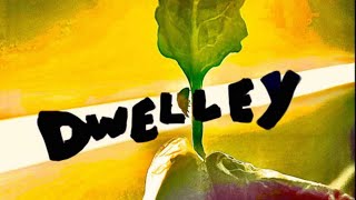 Dwelley - live at - O'Briens - 08.23.25
