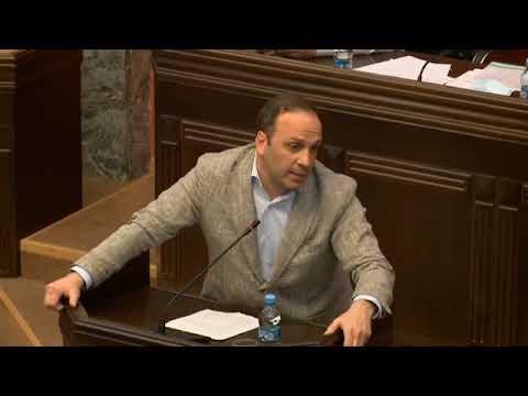 მაქვს განცდა, რომ პირადად კონტროლდებოდა ეს ბიზნესი ბატონ ბიძინას მხრიდან - ლევან გოგიჩაიშვილი