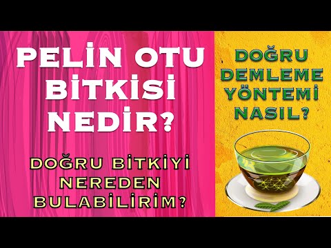 Video: Pelin Otunun Iyileştirici özellikleri