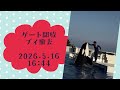 ゲート開放　ブイ撤去　2026.5.16 16:44