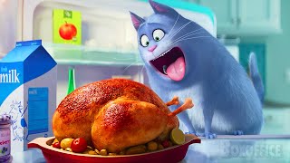 Cuando El Dueño No Está, Las Mascotas Se Divierten La Vida Secreta De Tus Mascotas