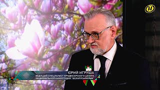 Продюсер Юрий Игруша | Телеканал ОНТ