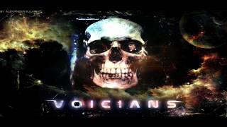 Voicians - I saw you run