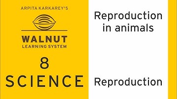8 Science - Reproduction in animals - Reproduction