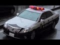交通覆面・パトカー 走行シーン(19) #交通機動隊 #交機
