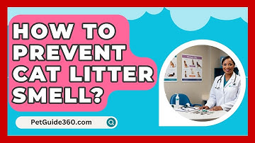 How To Prevent Cat Litter Smell? - PetGuide360.com
