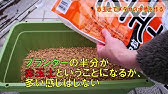 ホシタカめだか 008 プランターの穴埋め Youtube
