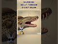 Mulut raksasa…strategi bertahan 🌌 #GulperEel #EdukasiMotivasi #FaktaHewan #Animals #VideoViral #Cool
