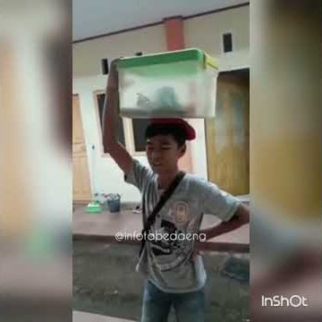 Penjual nasi kuning hitz lucu abis