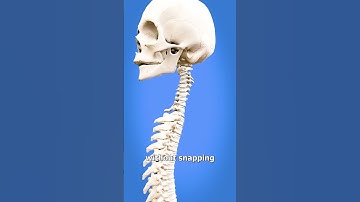 Thumbnail of How To Spin Your Head Like An Owl 😳