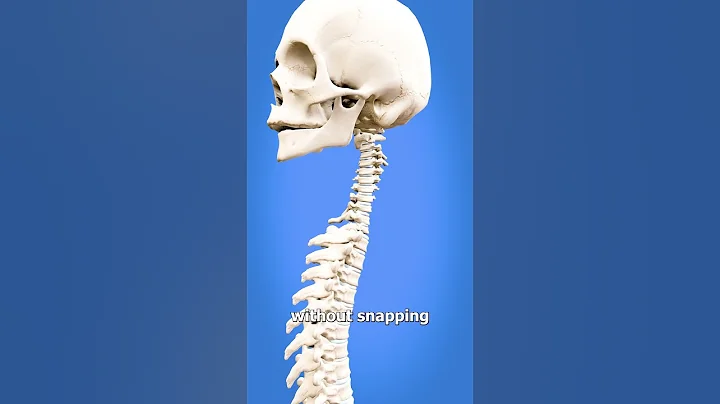 How To Spin Your Head Like An Owl 😳