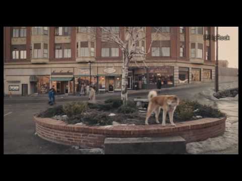 Hachiko (DJ IgRock video remix)