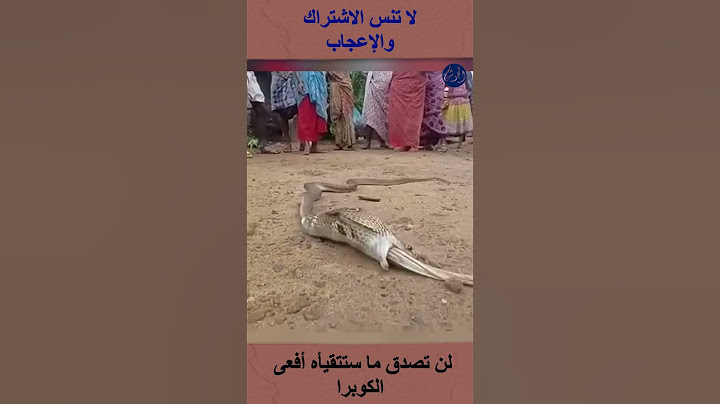 لن تصدق ما ستتقيأه أفعى الكوبرا #shortsvideo