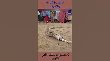 لن تصدق ما ستتقيأه أفعى الكوبرا Shortsvideo 